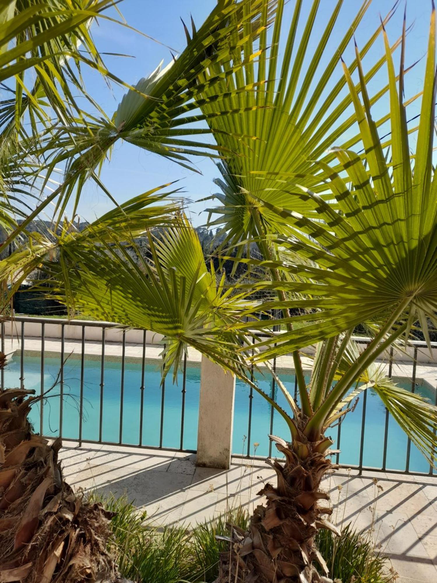 Villa Azur Лорг Экстерьер фото