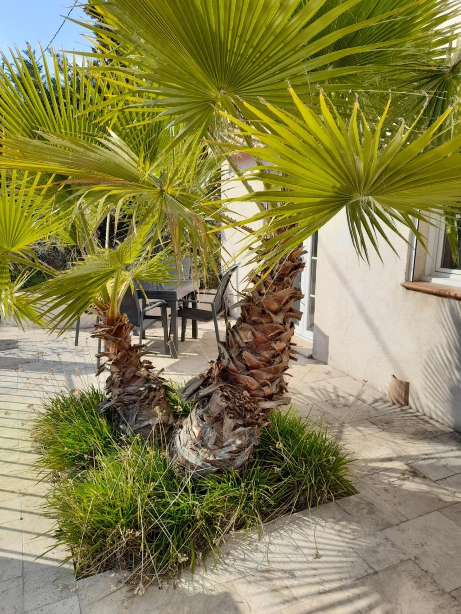 Villa Azur Лорг Экстерьер фото
